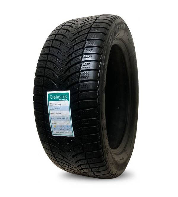 225/50R17 94H Targum Winter 4 Kış Lastiği